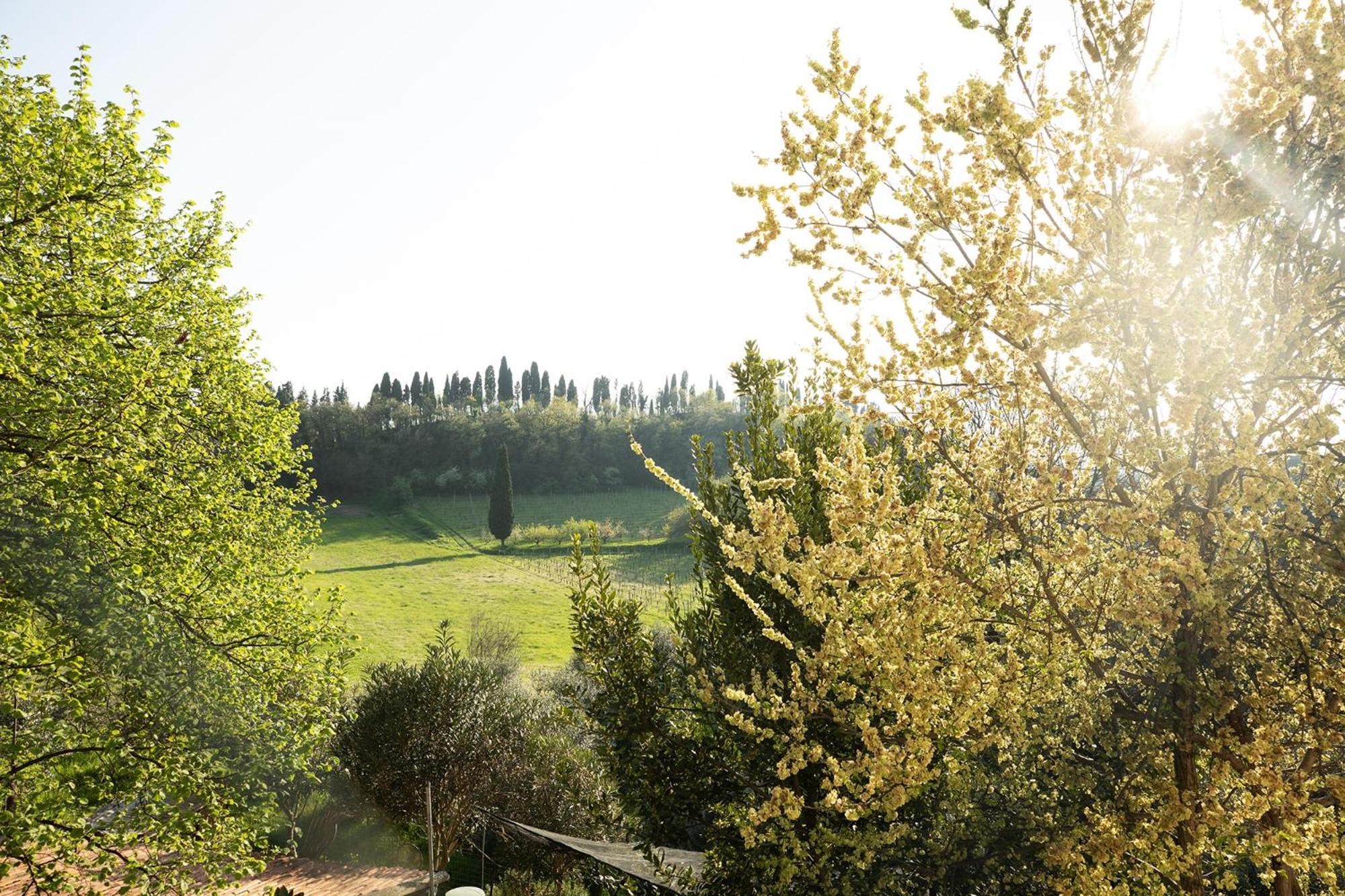 Relais La Rocca Solferino Bed & Breakfast Exterior foto