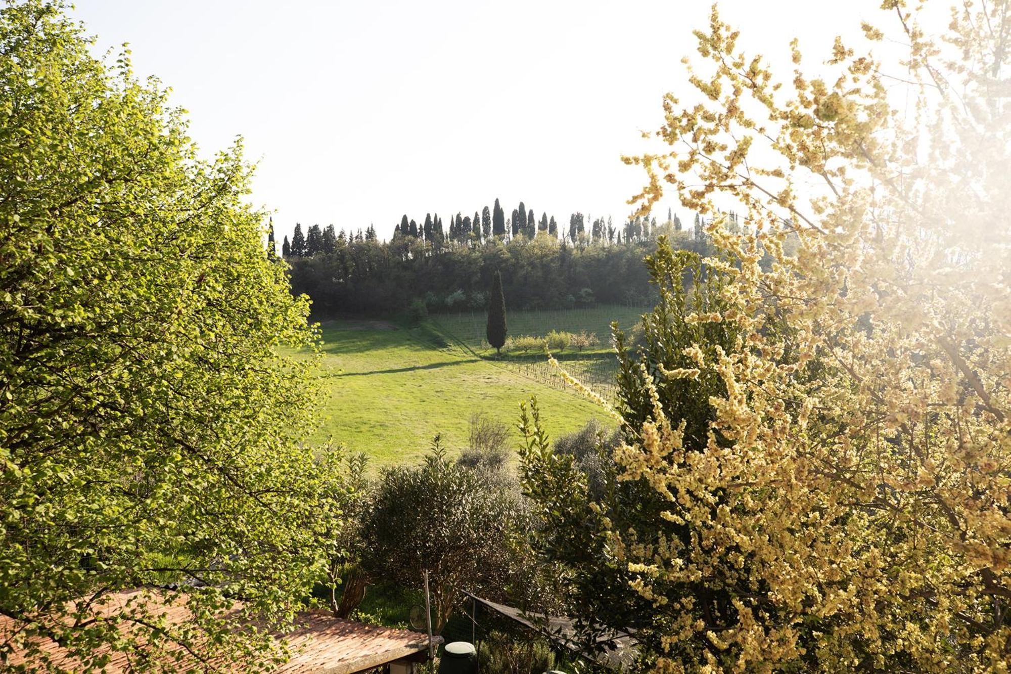 Relais La Rocca Solferino Bed & Breakfast Exterior foto